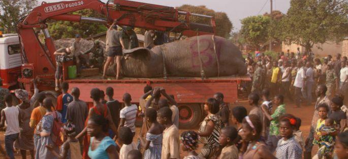 Nouvelles images du documentaire sur les éléphants diffusé ce dimanche 4 mai sur France 2 (vidéo)