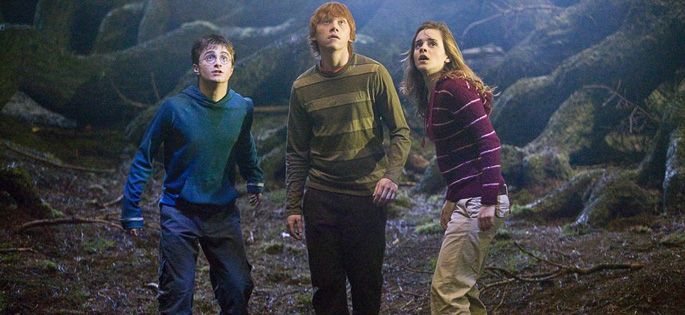 “Harry Potter et l'ordre du phénix” en tête des audiences dimanche soir sur TF1