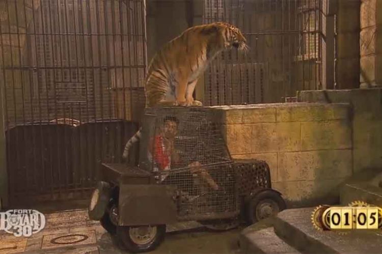 Extrait “Fort Boyard” : Bigflo au Safari "Je ne peux pas bouger, j'ai un tigre sur le véhicule" (vidéo)