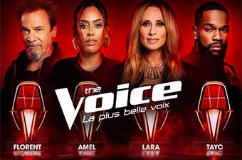 vignette the voice 2026