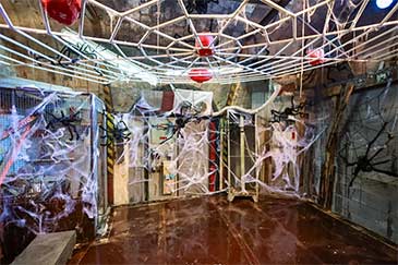 fort boyard 36 l araignee