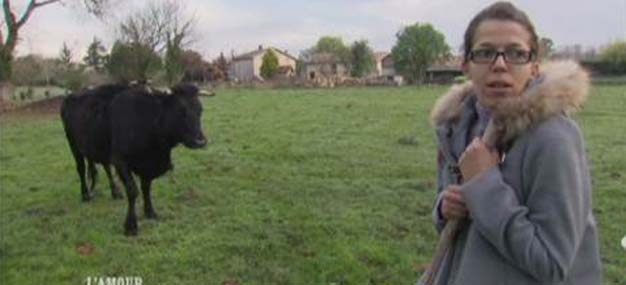 amour-dans-le-pre-yamina-vaches