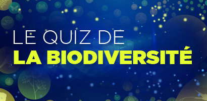 quiz.biodiversite