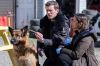 &quot;Hudson et Rex&quot; : la saison 5 sera diffusée sur France 3 à partir du 7 avril 2024