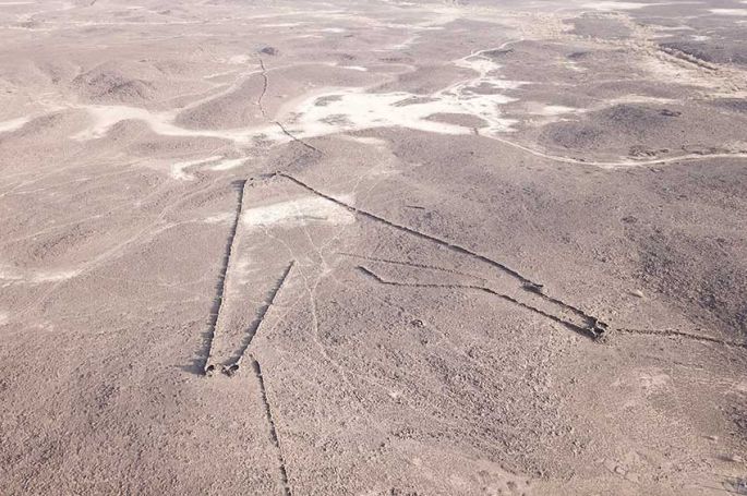 &quot;Le mystère des cerfs-volants du désert&quot; sur France 5 jeudi 4 décembre 2025