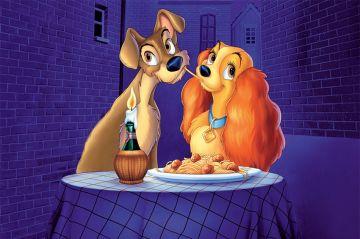 "La Belle et le Clochard" à revoir sur M6 samedi 4 janvier 2025 (vidéo)