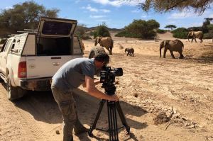 « Kalahari, l&#039;autre loi de la jungle » raconté par Virginie Efira, mardi 9 novembre sur France 2