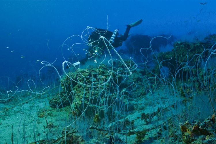 "Thalassa, aventures extrêmes" : À la conquête des profondeurs, lundi 27 janvier 2025 sur France 5 (vidéo)