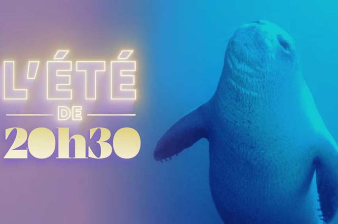 "L'été de 20h30" : Le retour du Phoque moine de Méditerranée ce 3 juillet 2026 sur France 2