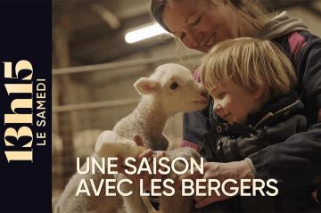 "13h15 le samedi" : Une saison avec les bergers Julien et Aurélie ce 9 mai 2026 sur France 2