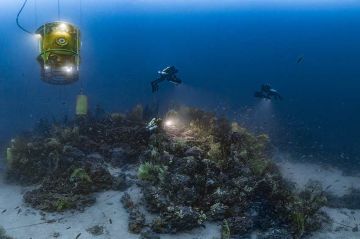 &quot;Planète Méditerranée&quot; à revoir sur ARTE samedi 10 juin 2023 - Vidéo