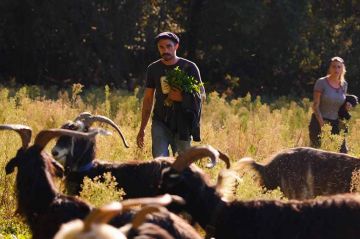 « Labels : des verts et pas mûrs » : enquête sur les labels écolos, mardi 27 septembre sur France 5 (vidéo)