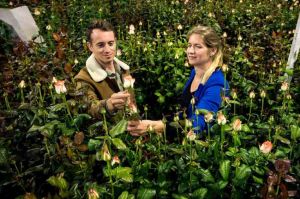 “Sur le front” « Saint-Valentin : que cachent nos bouquets ? » lundi 7 février sur France 5 avec Hugo Clément