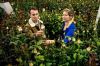 “Sur le front” « Saint-Valentin : que cachent nos bouquets ? » lundi 7 février sur France 5 avec Hugo Clément