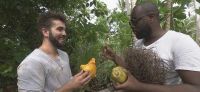 1ères images de “L'Aventure Robinson” avec Maître Gims &amp; Kendji Girac sur TF1 (vidéo)