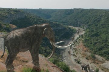 &quot;Dans les pas du mammouth géant&quot; sur France 5 jeudi 26 octobre 2023 - Vidéo