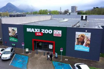 &quot;Capital&quot; : Le business des des animaux de compagnie sur M6 dimanche 9 juillet 2023 avec Julien Courbet