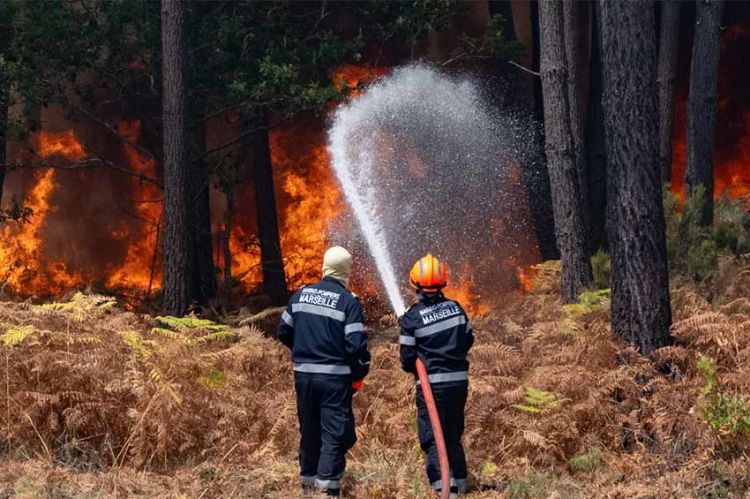 "Sauvons nos forêts", une soirée spéciale avec Léa Salamé et Hugo Clément le 15 septembre sur France 2