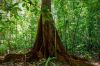 &quot;Le monde secret des forêts&quot; à découvrir sur France 5 lundi 12 mai 2025