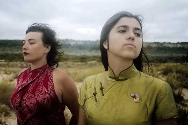 Le concert "Birds on a Wire - Le chant des oiseaux" diffusé sur Culturebox jeudi 7 novembre 2024