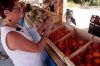 “Le doc du dimanche” : « Les bons produits du bord de la route », ce 6 septembre sur France 5