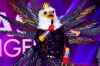 “Mask Singer” : TF1 dévoile de nouveaux indices sur l&#039;Aigle, regardez... (vidéo)