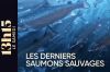"13h15 le samedi" : Les derniers saumons sauvages, samedi 6 décembre 2025 sur France 2