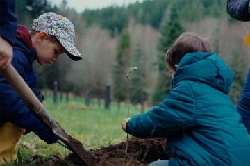 &quot;Planter à tout prix : des arbres pour sauver la planète ?&quot; sur Arte mardi 21 octobre 2025 (vidéo)