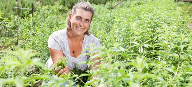 2ème partie de “L&#039;amour est dans le pré” : que sont-ils devenus ? lundi 10 juin sur M6