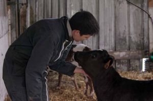 « L&#039;installation » d&#039;Audrey et Lauriane à la ferme de Kervily, mardi 9 août sur France 2 (vidéo)