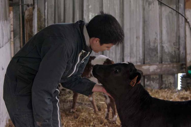 « L'installation » d'Audrey et Lauriane à la ferme de Kervily, mardi 9 août sur France 2 (vidéo)