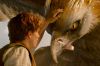 &quot;Les animaux fantastiques&quot; de J.K. Rowling à revoir sur TF1 dimanche 21 juillet 2024 (vidéo)