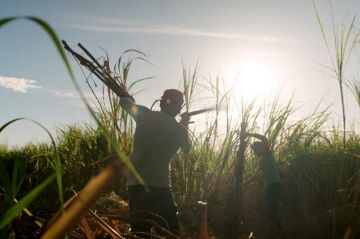 &quot;Trop chaud pour travailler&quot; sur ARTE mardi 20 juin 2023 dans Thema