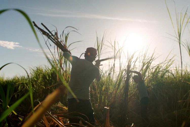 "Trop chaud pour travailler" sur ARTE mardi 20 juin 2023 dans Thema
