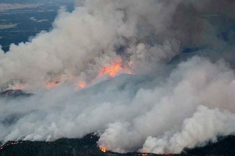 “La Case du siècle” : « Climat, une Guerre américaine », dimanche 17 janvier sur France 5