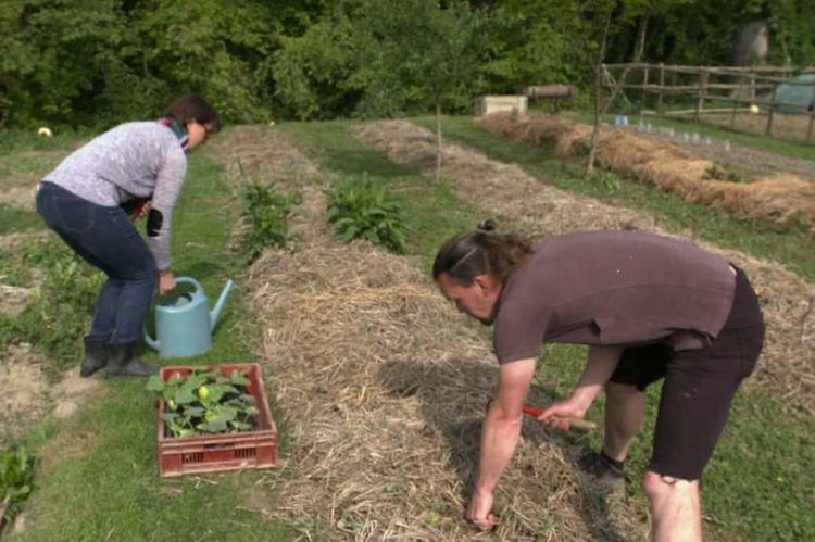 “Reportages découverte” : « Ils veulent sauver la planète » samedi 16 avril sur TF1