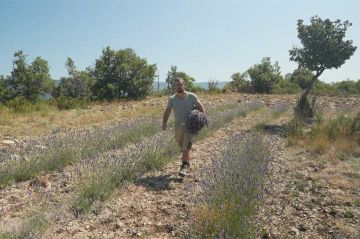 &quot;Reportages découverte&quot; : La terre de nos ancêtres, un héritage difficile, samedi 30 novembre 2024 sur TF1