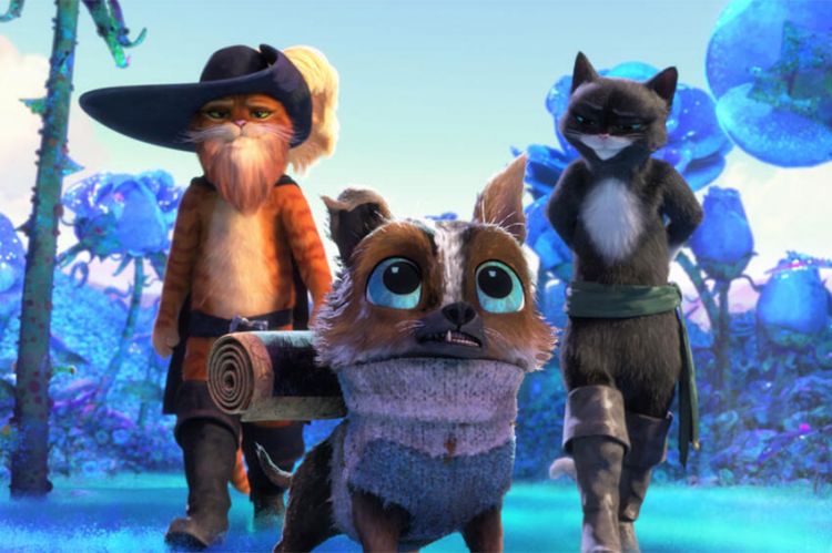 "Le Chat potté 2 : La dernière quête" diffusé sur TF1 mercredi 25 décembre 2024 (vidéo)