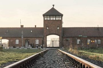 &quot;Auschwitz, la machine de mort nazie&quot; à revoir sur RMC Découverte vendredi 31 janvier 2025