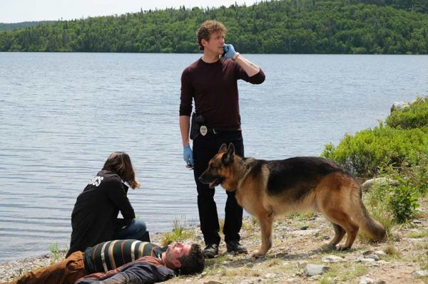 "Hudson et Rex" saison 6, résumé des 4 épisodes diffusés sur France 3 dimanche 23 mars 2025