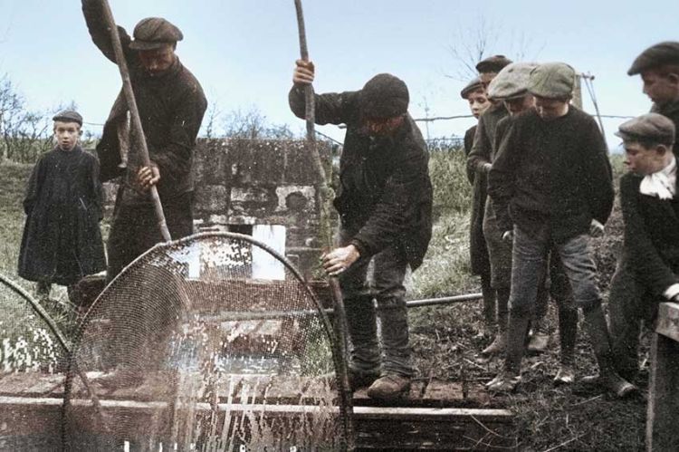&quot;1914-1918, la guerre de tous les français&quot; sur NOVO 19 vendredi 14 novembre 2025
