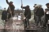 "1914-1918, la guerre de tous les français" sur NOVO 19 vendredi 14 novembre 2025