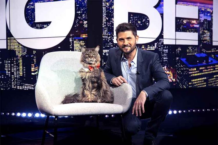 Un bétisier 100% chats avec Christophe Beaugrand & Norbert le chat sur TFX vendredi 24 mai