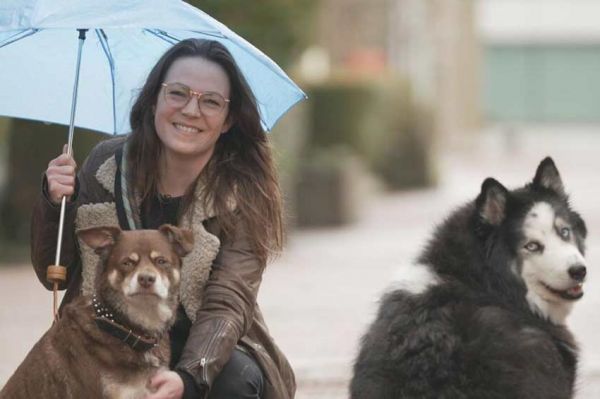 "Reportages découverte" : Animaux de compagnie, business et trafic, dimanche 1er septembre 2024 sur TF1 (vidéo)