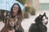 "Reportages découverte" : Animaux de compagnie, business et trafic, dimanche 1er septembre 2024 sur TF1 (vidéo)