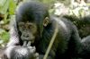 La série documentaire &quot;Terre des géants&quot; rediffusée sur T18 dimanche 29 juin 2025