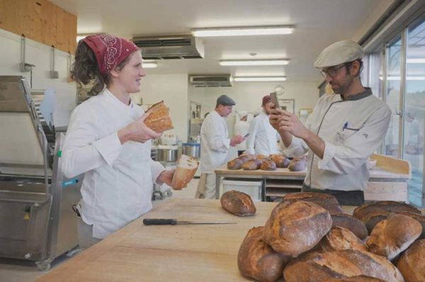 "Reportages découverte" : Boulangères, les nouvelles amies du pain, dimanche 3 novembre 2024 sur TF1 (vidéo)