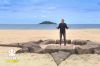 “Koh-Lanta : les 4 terres” : découvrez les premières minutes de l&#039;épisode 1 (vidéo)