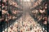 "L'usine des animaux" mardi 14 mars 2023 sur ARTE dans Thema (vidéo)