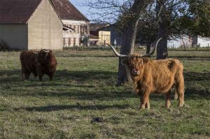 “L&#039;amour est dans le pré” : revoir les portraits des 6 derniers agriculteurs de la saison 14 (vidéo)